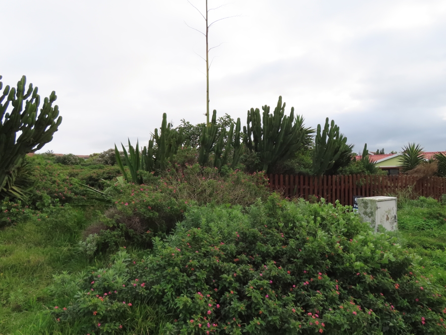 0 Bedroom Property for Sale in Forest Downs Eastern Cape